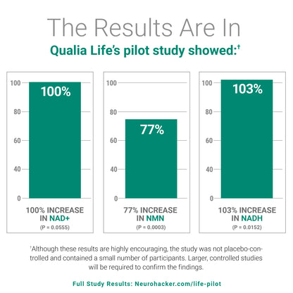 Qualia Life 2.0